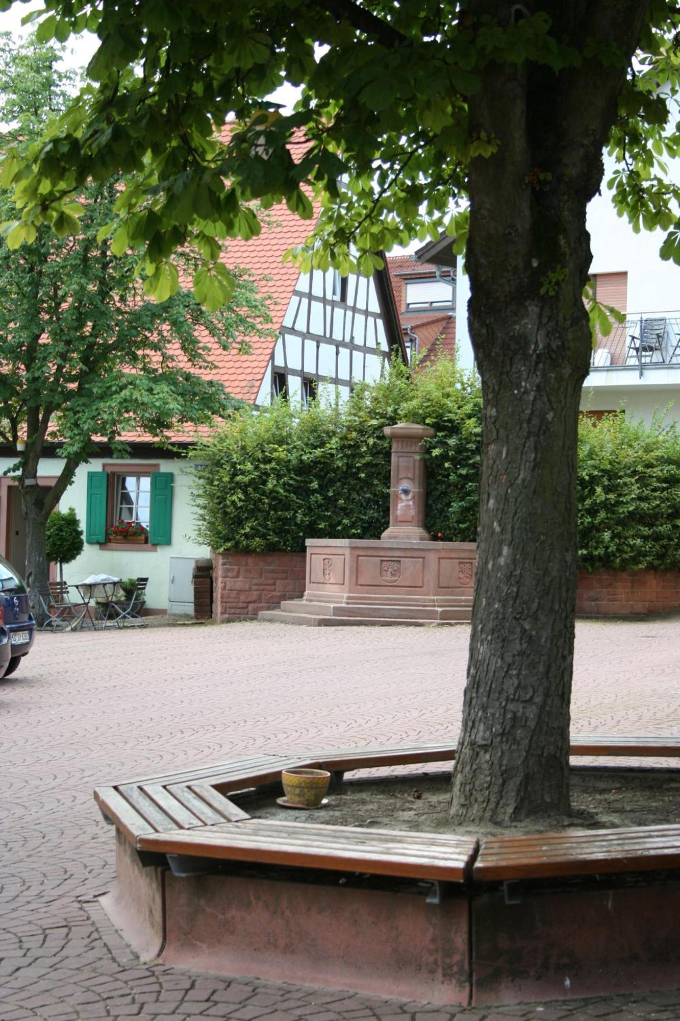 Landhotel Sickinger Hof Walldorf  Zewnętrze zdjęcie